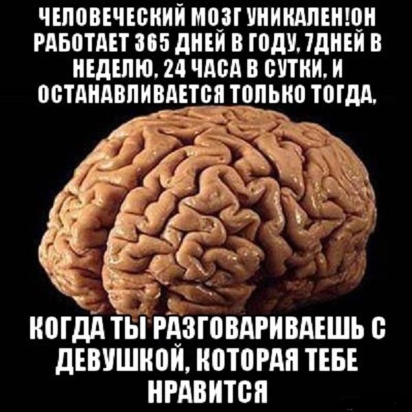 Вставайте brain